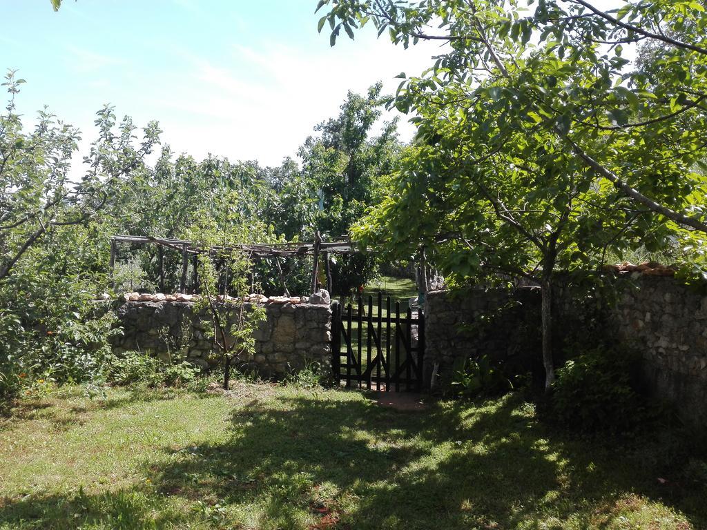 Apartments Hatic Drenje  Ngoại thất bức ảnh
